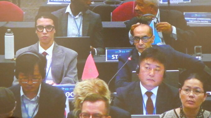 Renforcement de l'influence africaine au sein de la Commission baleinière internationale